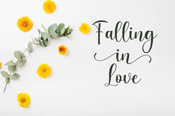 Marigold Font by Stellar Studio by Stellar Studio — Script Handwritten Font — thumbnail 7