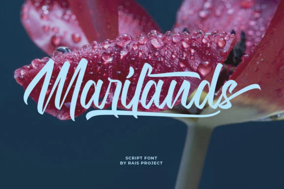 Marilands Font by RaisProject — Script Handwritten Font