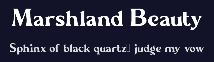 Marshland Beauty by Aluyeah Studio — Serif Font — thumbnail 2