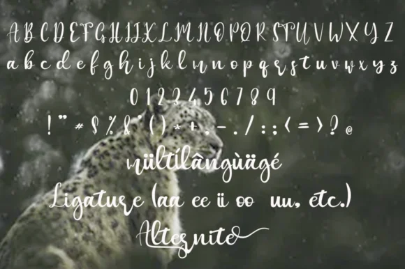Maskumambang Font by Gatra Std — Script Handwritten Font — thumbnail 7
