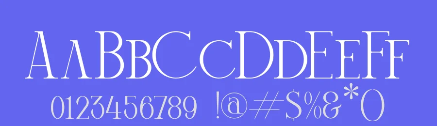 Mechago by Storytype Studio — Serif Font — thumbnail 3