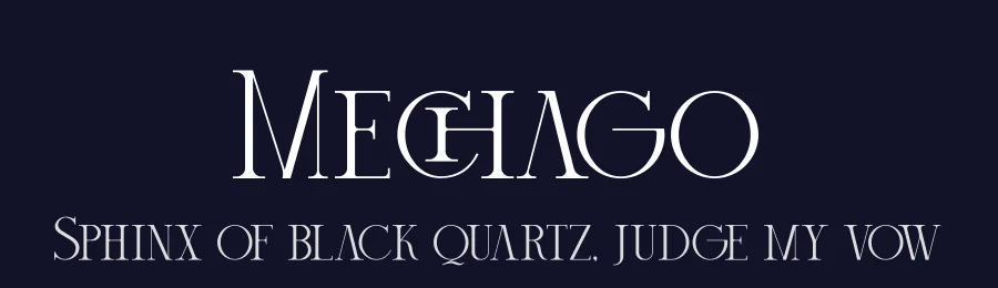 Mechago by Storytype Studio — Serif Font — thumbnail 2