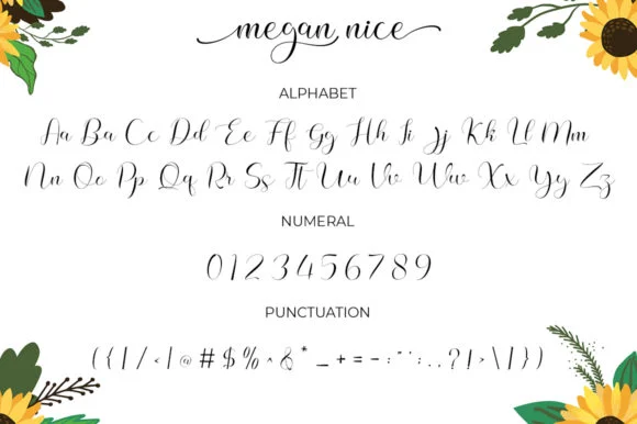 Megan Nice Font by Struggle Studio — Script Handwritten Font — thumbnail 5
