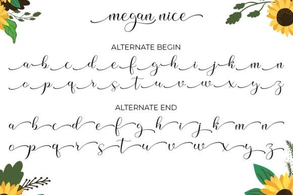 Megan Nice Font by Struggle Studio — Script Handwritten Font — thumbnail 6
