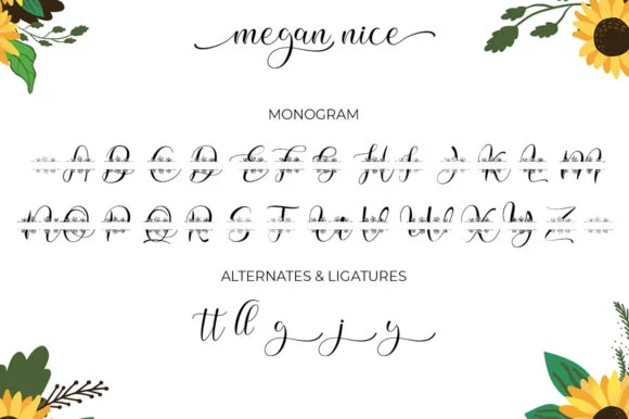 Megan Nice Font by Struggle Studio — Script Handwritten Font — thumbnail 7
