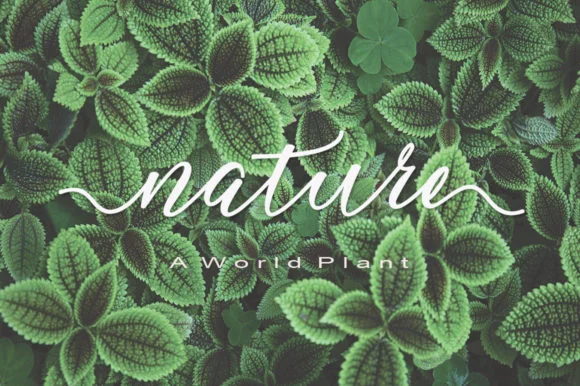 Merrabella Font by JoeeCreative — Script Handwritten Font — thumbnail 2