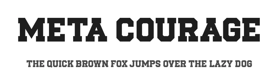 Meta Courage