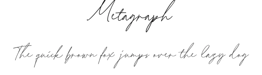 Metagraph