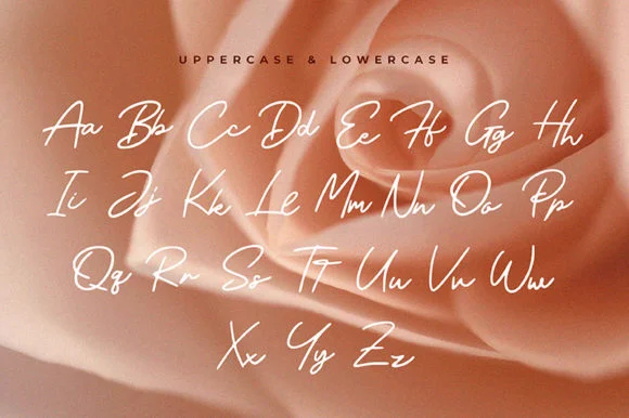 Meyried Font by klakonstudio — Script Handwritten Font — thumbnail 3