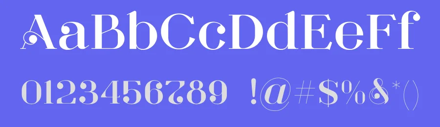 MGN Felizia by Studio Morgana.id — Serif Font — thumbnail 3