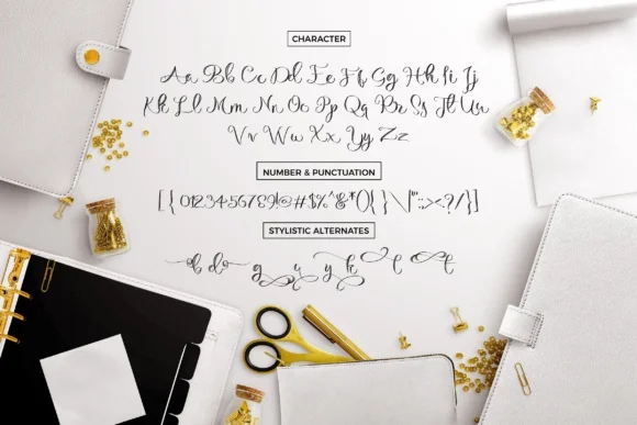 Michelle Script Font by Debut Studio — Script Handwritten Font — thumbnail 3