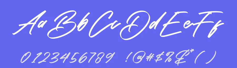 Michigan Dellaxe by Letterena Studios — Script Handwritten Font — thumbnail 3