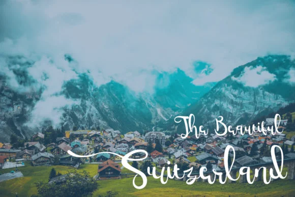 Midnight Show Font by typocrisy.studio — Script Handwritten Font — thumbnail 6