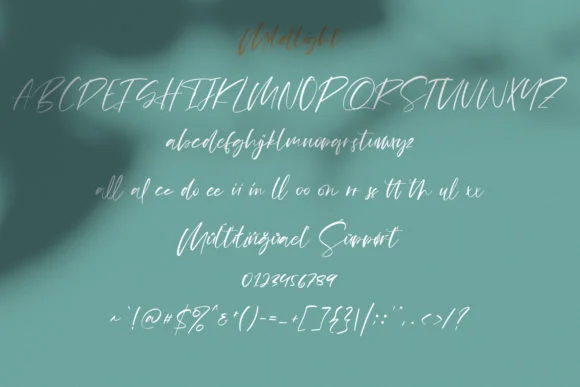 Mildlight Font by Maulana Creative — Script Handwritten Font — thumbnail 6