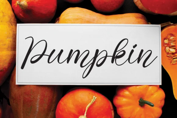 Milkcheese Font by Misterletter.co — Script Handwritten Font — thumbnail 4