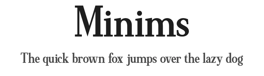 Minims by Achmad Yani β Serif Font