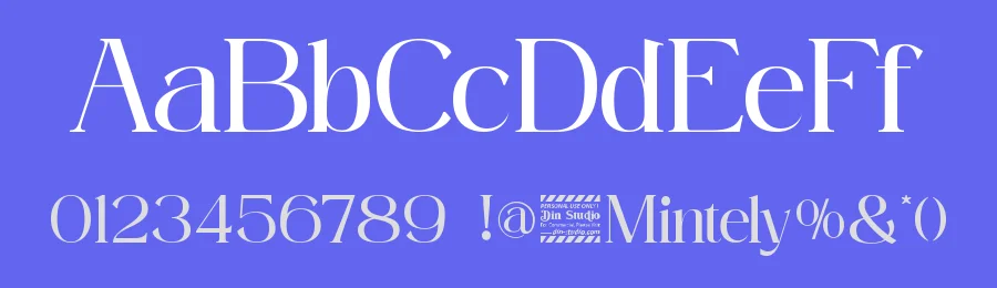 Mintely by Din Studio — Serif Font — thumbnail 3