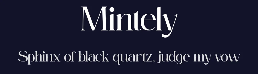 Mintely by Din Studio — Serif Font — thumbnail 2