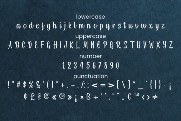 Miradila Font by Mytype Studio — Script Handwritten Font — thumbnail 9