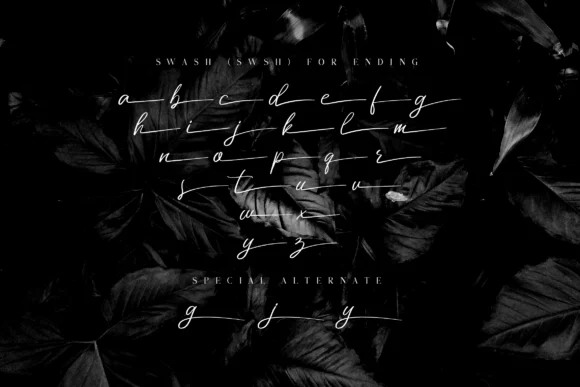 Miss Catlyne Font by Bluestudio — Script Handwritten Font — thumbnail 9