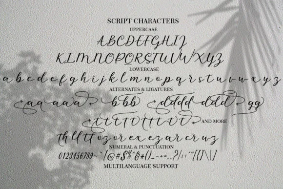 Mithana Duo Font by akifatype — Script Handwritten Font — thumbnail 6