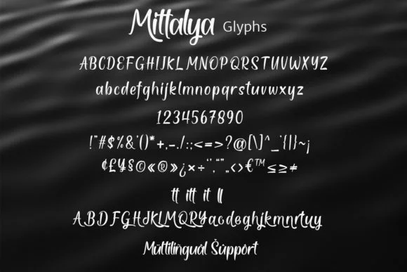 Mittalya Font by Mytype Studio — Script Handwritten Font — thumbnail 8