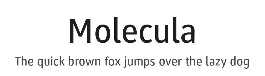 Molecula by Northeast Type Foundry β Sans Serif Font