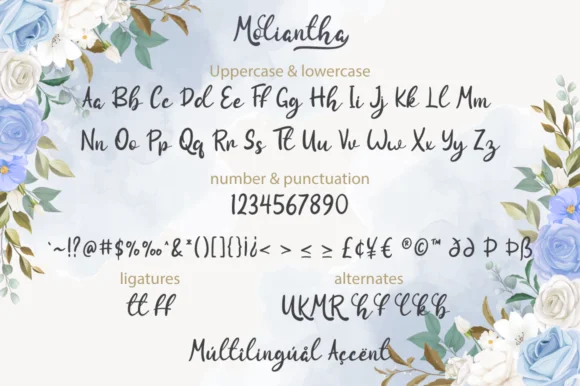Moliantha Font by attypestudio — Script Handwritten Font — thumbnail 6