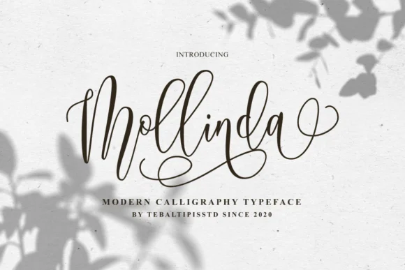 Mollinda Font by Tebaltipis.std β Script Handwritten Font
