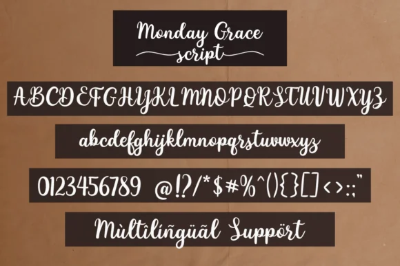 Monday Grace Font by Deedeetype — Script Handwritten Font — thumbnail 6