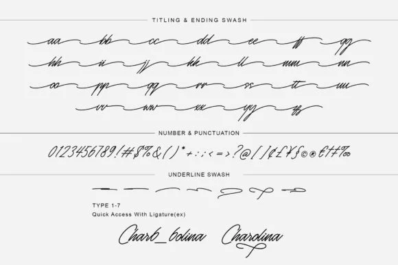 Monosign Font by lemonthe — Script Handwritten Font — thumbnail 8