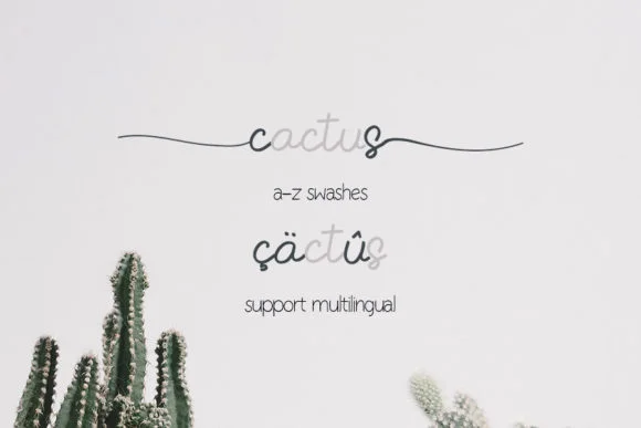Monstera Font by Creassion Studio by Creassion Studio — Script Handwritten Font — thumbnail 4