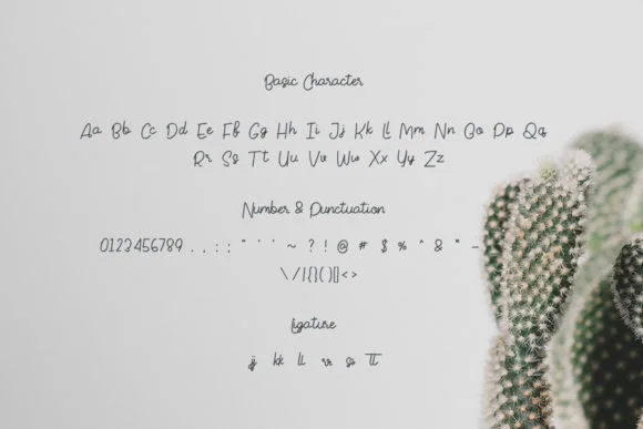 Monstera Font by Creassion Studio by Creassion Studio — Script Handwritten Font — thumbnail 5