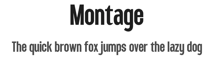 Montage