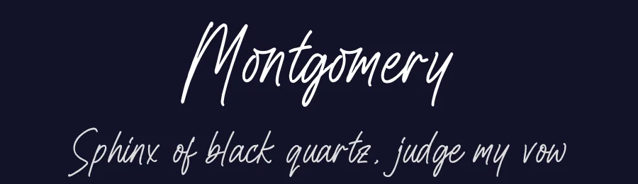 Montgomery by Letterena Studios — Script Handwritten Font — thumbnail 2