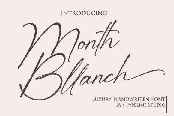 Month Bllach Font by typelinestudio — Script Handwritten Font