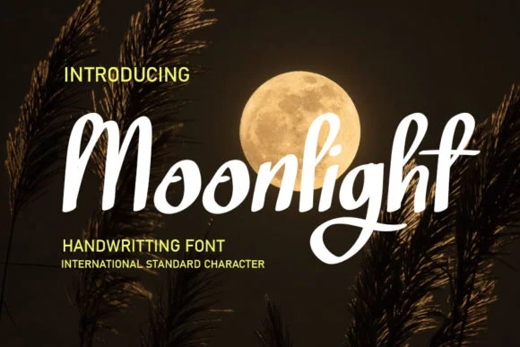 Moonlight Font by shiddiq.art by shiddiq.art — Script Handwritten Font