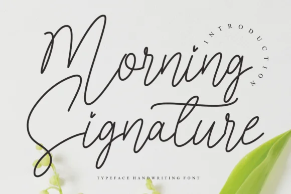 Morning Signature Font by Misterletter.co by Misterletter.co — Script Handwritten Font