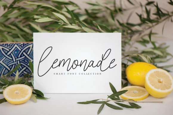 Morning Signature Font by Misterletter.co by Misterletter.co — Script Handwritten Font — thumbnail 3