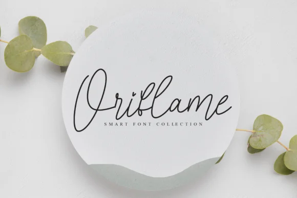 Morning Signature Font by Misterletter.co by Misterletter.co — Script Handwritten Font — thumbnail 4