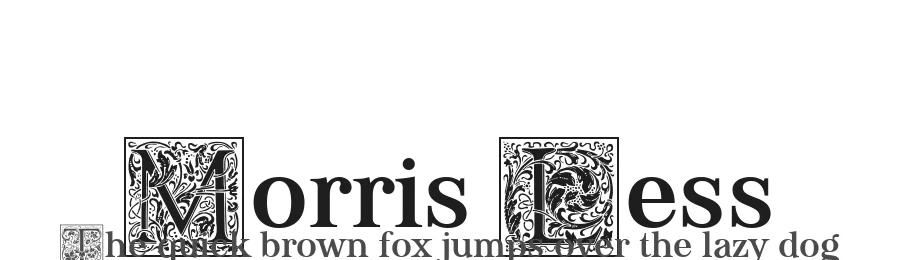 Morris Less