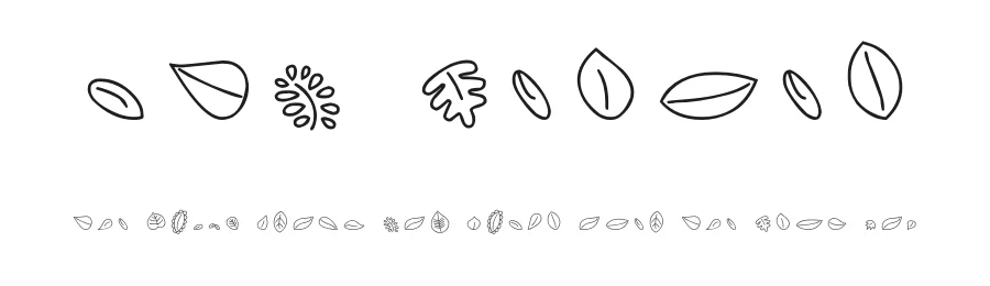 MTF Leaves by Miss Tiina Fonts - MTF — Dingbats Font