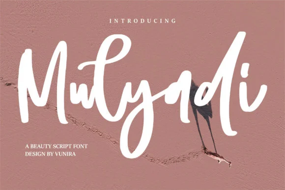 Mulyadi Font by Vunira — Script Handwritten Font