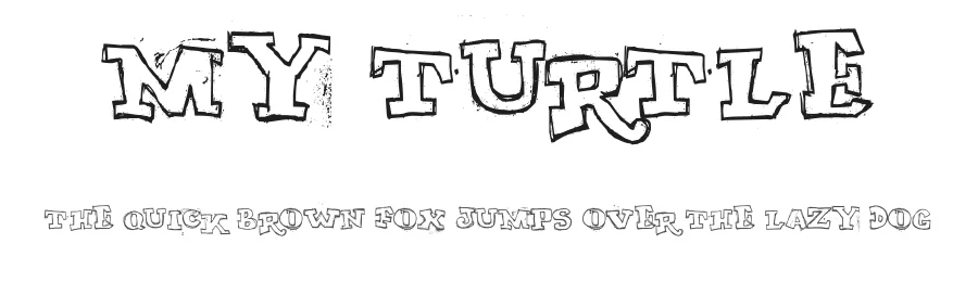 My Turtle