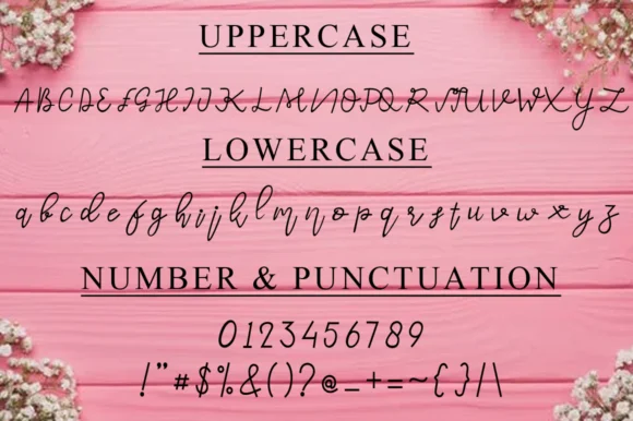 Narita Font by Gatra Std — Script Handwritten Font — thumbnail 6