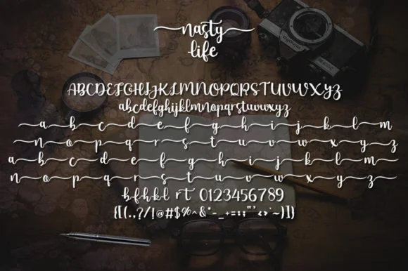 Nasty Life Font by Struggle Studio — Script Handwritten Font — thumbnail 7