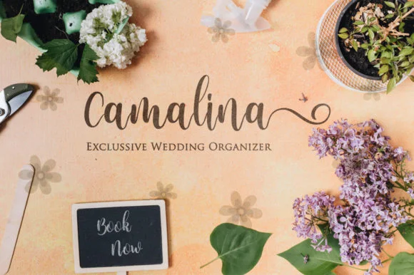 Natalia Font by fanastudio by fanastudio — Script Handwritten Font — thumbnail 2