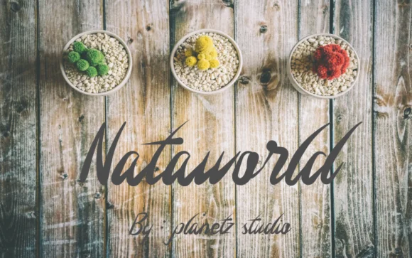 Nataworld Font by Planetz studio — Serif Font