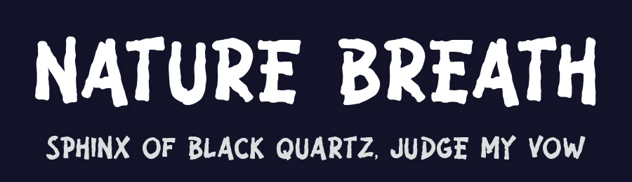 Nature Breath by Lettersiro Studio — Decorative Font — thumbnail 2