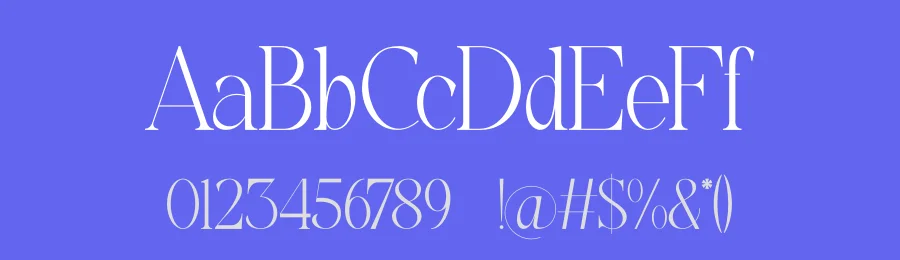 Nauka by Slide Shoot Type — Serif Font — thumbnail 3
